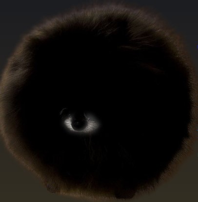 Fluffy one-eyed pomeranian style hero